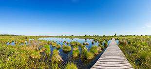 Flamingos, Fietse, Schmuggler und Co. –Grenzenloses Radvergnügen in der Grafschaft Flamingos, Fietse, Schmuggler und Co. –Grenzenloses Radvergnügen in der Grafschaft