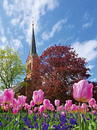 Foto1: Radreise-Gartentraumtour, Kirche, Tulpen, blauer Himmel