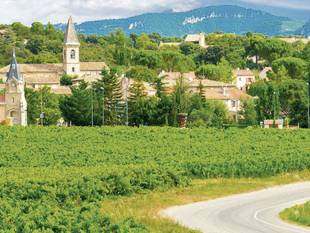 Foto: Genießen wie Gott in Frankreich – Schlemmerradeln ins Elsass Foto: Genießen wie Gott in Frankreich – Schlemmerradeln ins Elsass