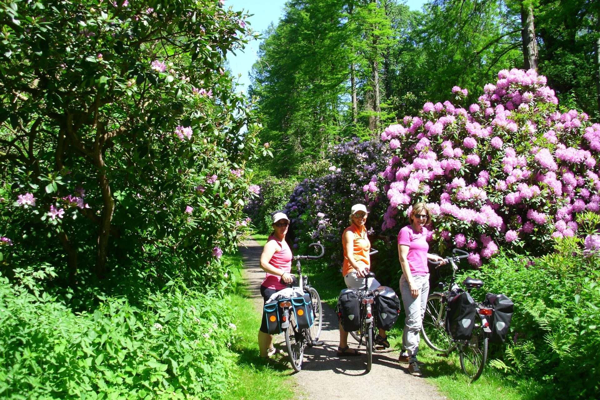 Foto1: Radreise-Gartentraumtour, Grün, Fahrräder, Rhododondren