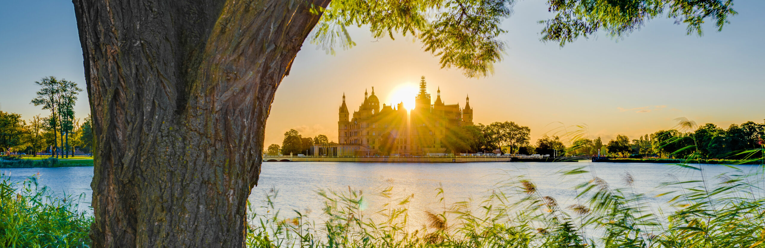Sahnestuecke-Header-AdobeStock_294403047-web